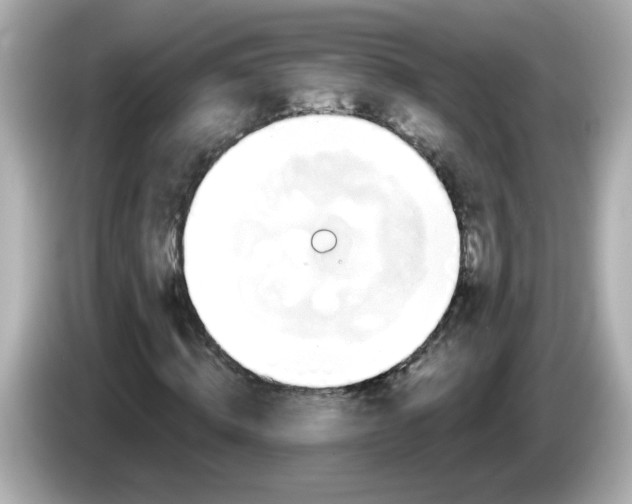 X0000086020820200704091112