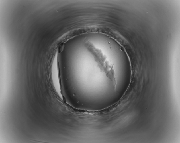X0000086020821200704091112