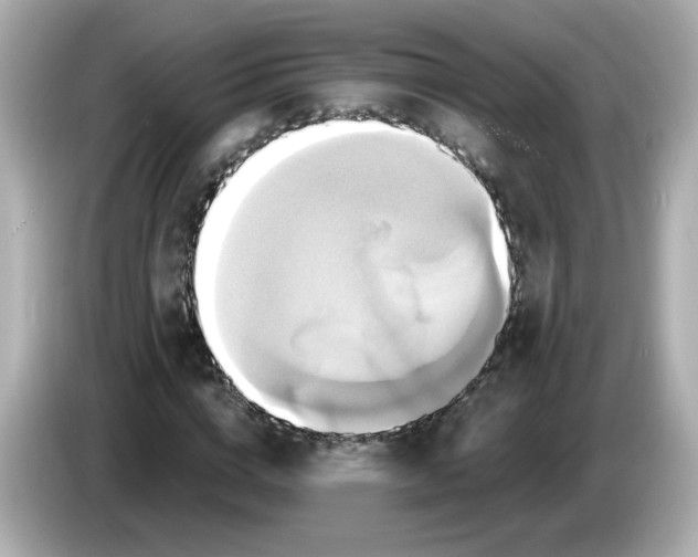X0000086020824200704091112