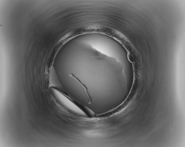 X0000086020825200704091112