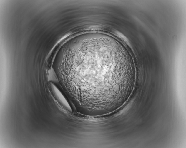 X0000086020827200704091112