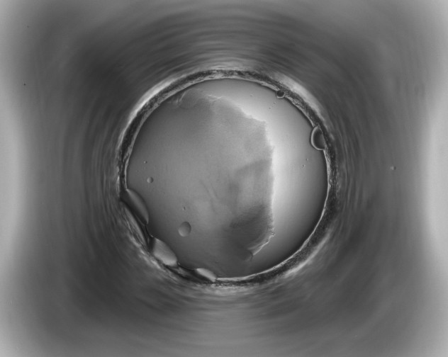 X0000086020829200704091112