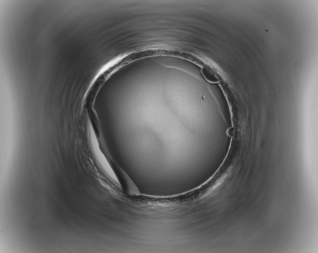 X0000086020830200704091112