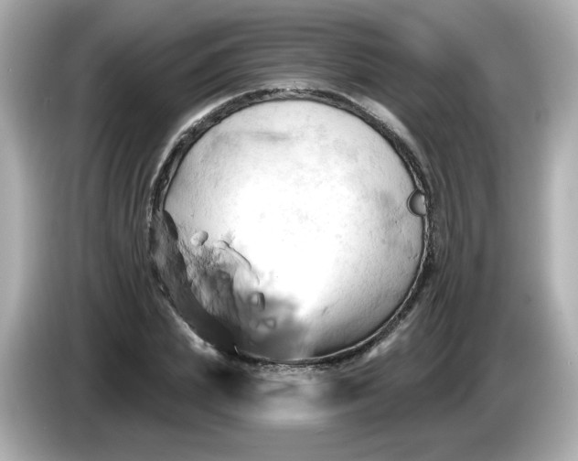 X0000086020831200704091112