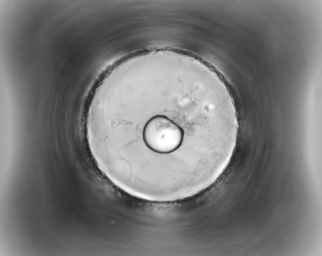 X0000086020832200704091112