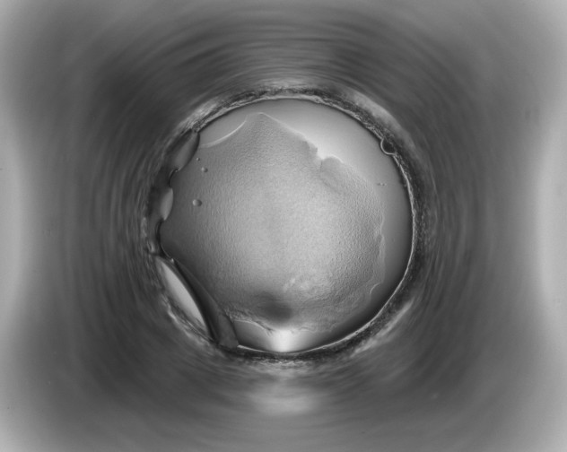 X0000086020833200704091112