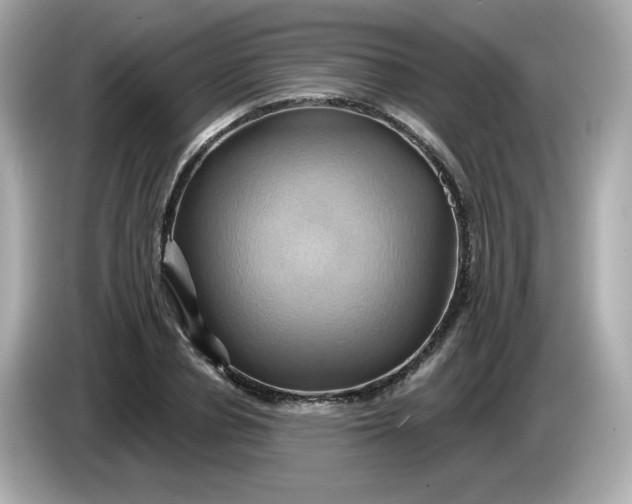 X0000086020834200704091112