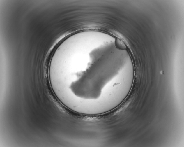 X0000086020835200704091112