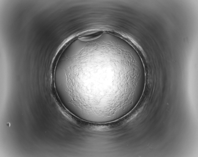 X0000086020837200704091112