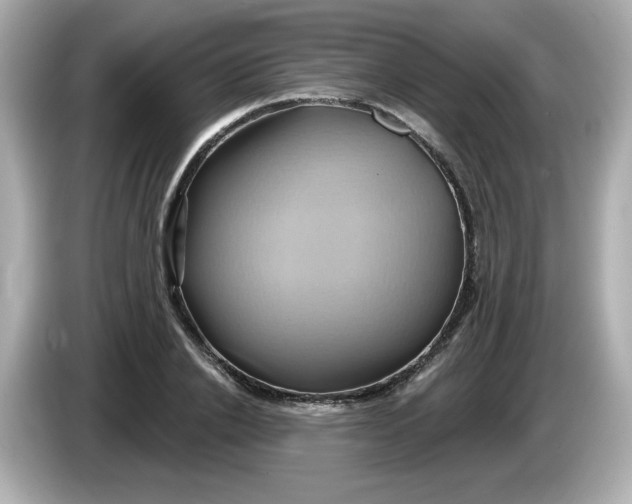 X0000086020838200704091112