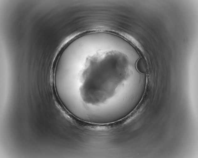 X0000086020839200704091112