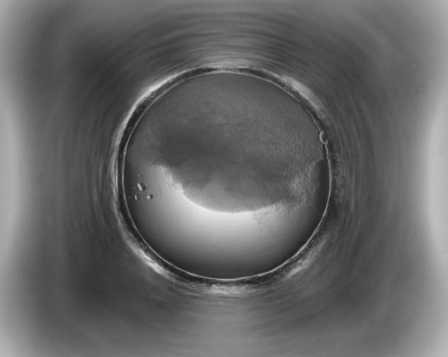 X0000086020840200704091112