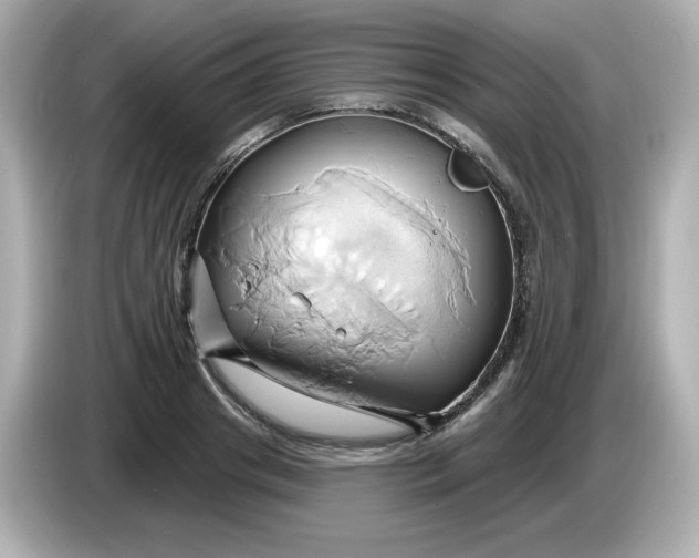 X0000086020841200704091112