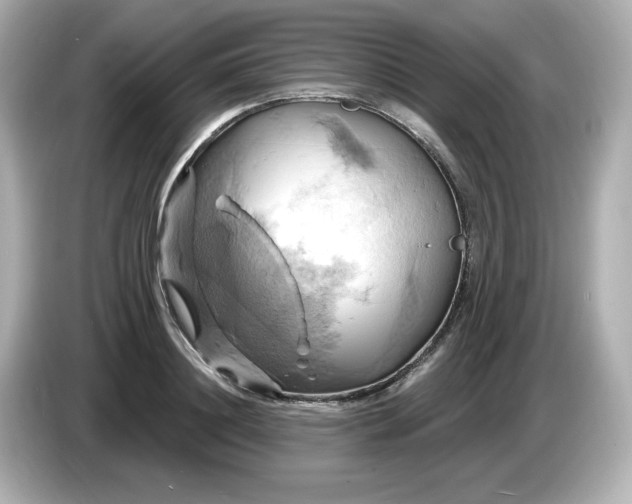 X0000086020844200704091112
