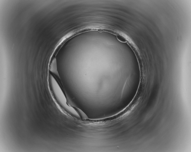 X0000086020845200704091112