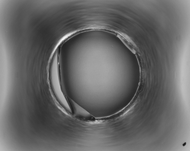 X0000086020846200704091112