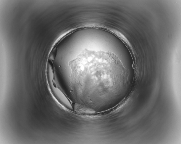 X0000086020847200704091112