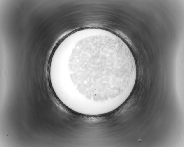 X0000086020848200704091112