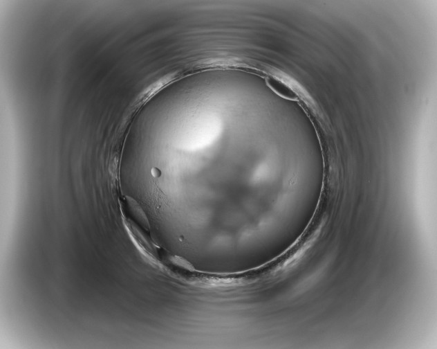 X0000086020849200704091112