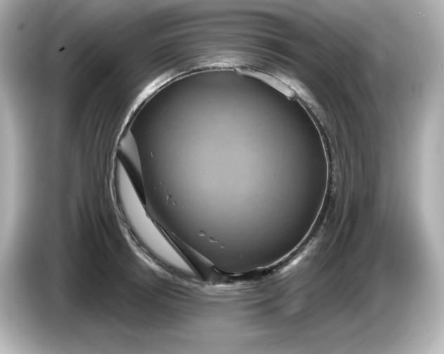 X0000086020850200704091112
