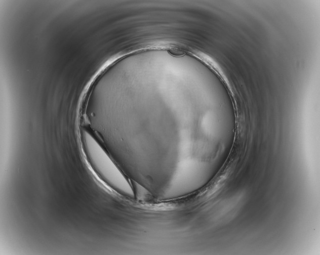 X0000086020851200704091112