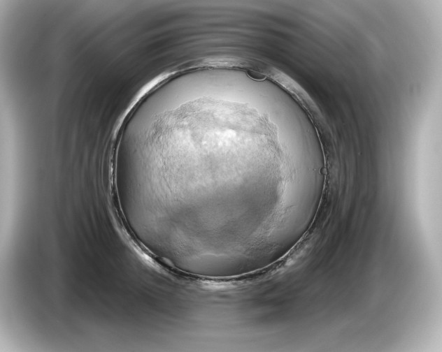 X0000086020852200704091112