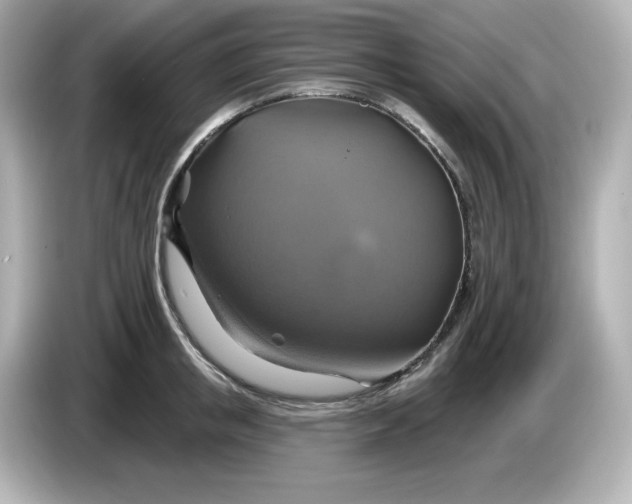 X0000086020853200704091112