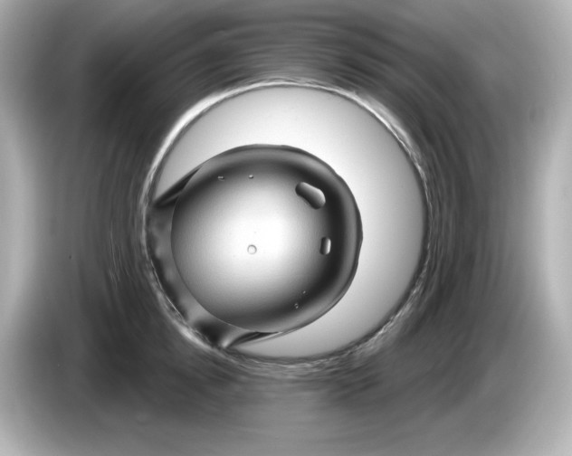 X0000086020854200704091112