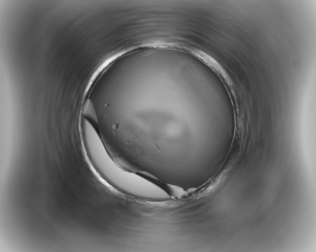 X0000086020855200704091112