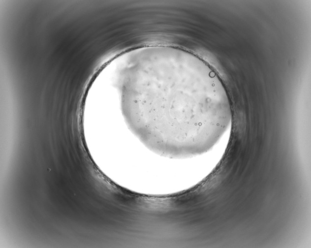X0000086020856200704091112