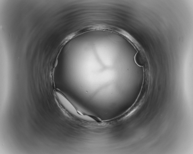 X0000086020857200704091112