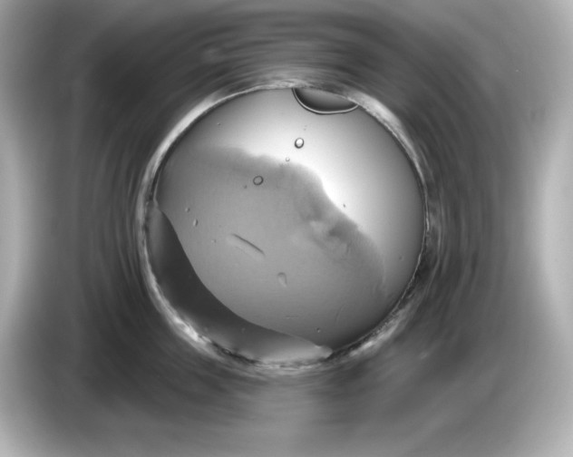 X0000086020859200704091112