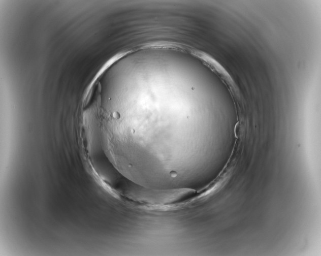 X0000086020860200704091112
