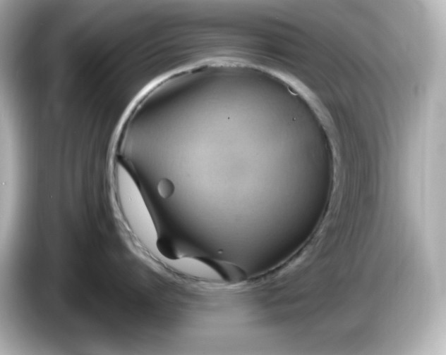 X0000086020864200704091112