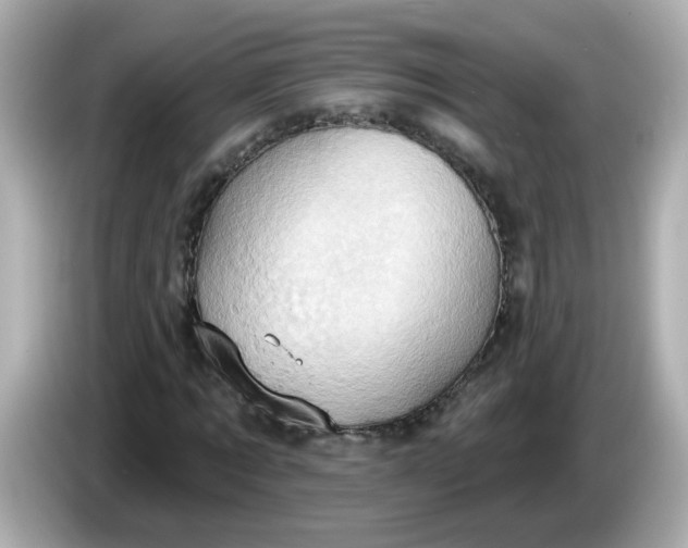 X0000086020869200704091112