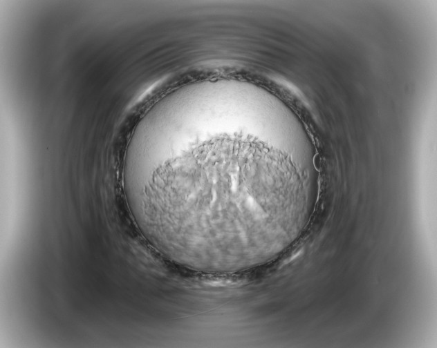 X0000086020871200704091112