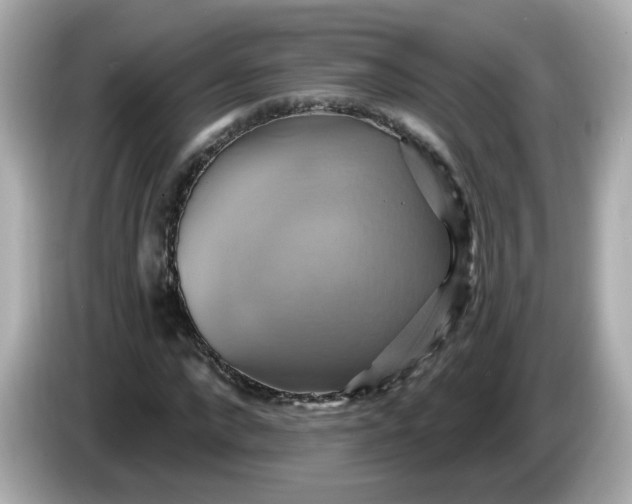 X0000086020872200704091112