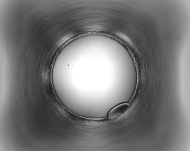 X0000086020873200704091112
