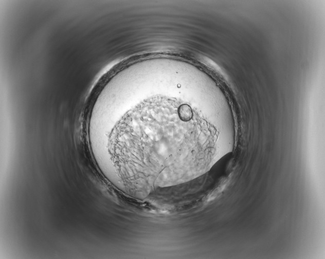 X0000086020875200704091112
