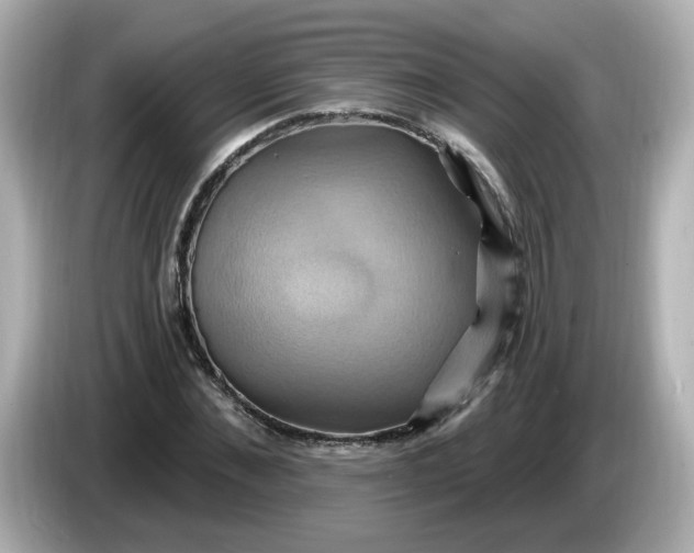 X0000086020876200704091112