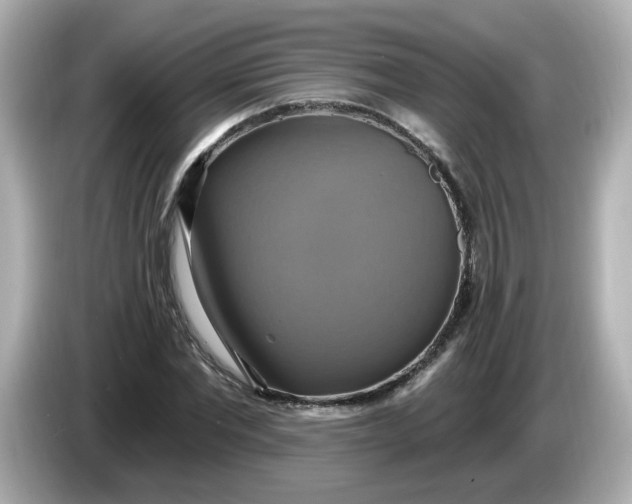X0000086020877200704091112