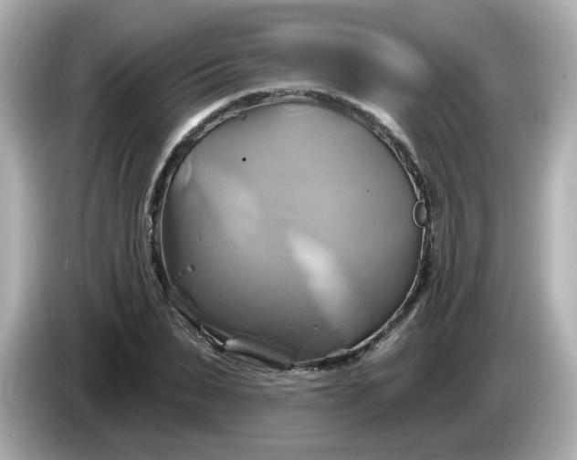 X0000086020879200704091112