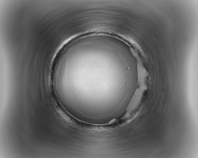 X0000086020880200704091112