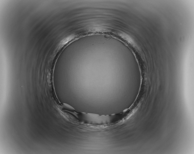 X0000086020881200704091112