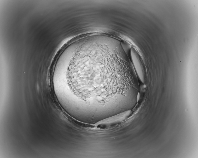 X0000086020883200704091112