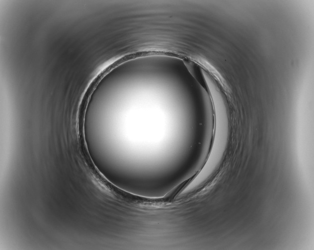 X0000086020884200704091112