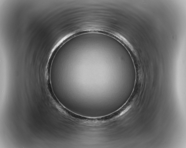 X0000086020885200704091112