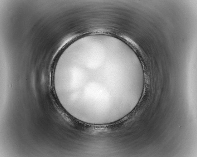 X0000086020886200704091112