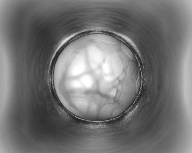X0000086020887200704091111