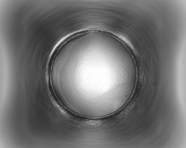 X0000086020888200704091111